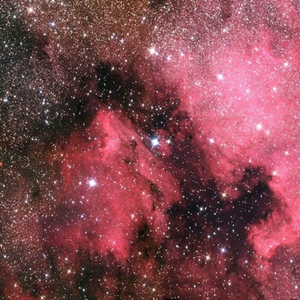 班长脱👙给我揉🐻动漫
