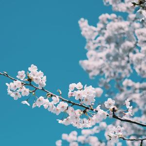 班长脱👙给我揉🐻动漫
